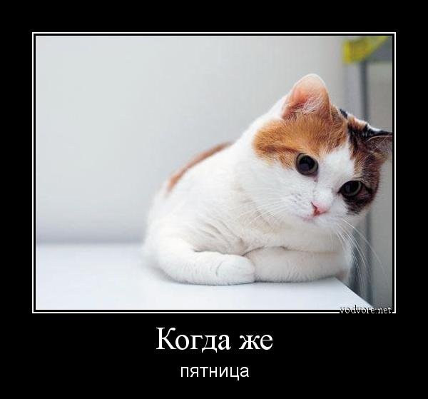 Ну когда уже пятница