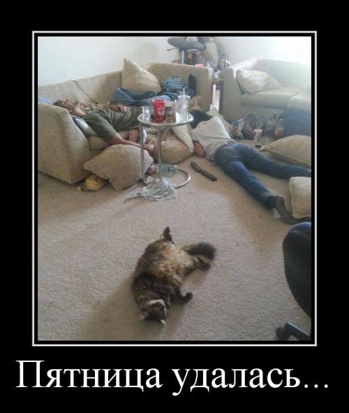 Демотиватор пятница вечер