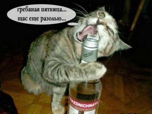 Открытка пятница пьяница