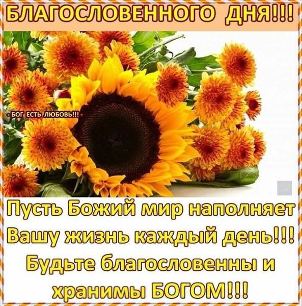 Доброе утро благословенного дня