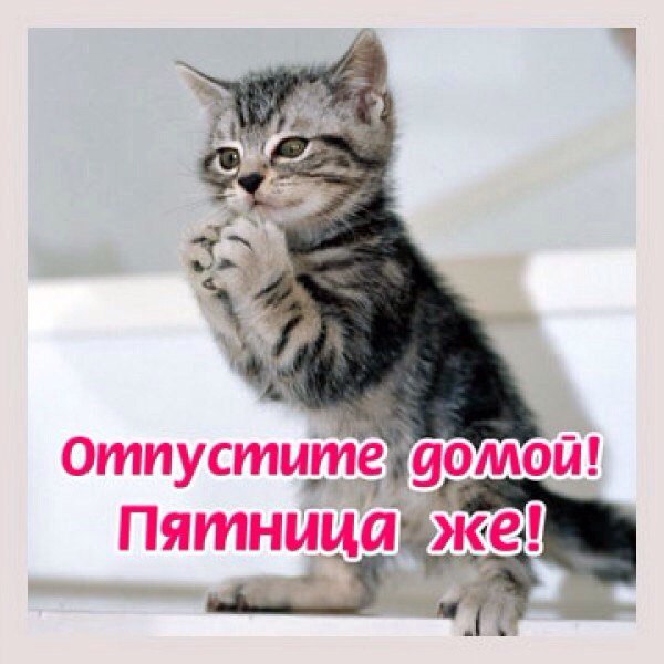 Пятница отпустите домой