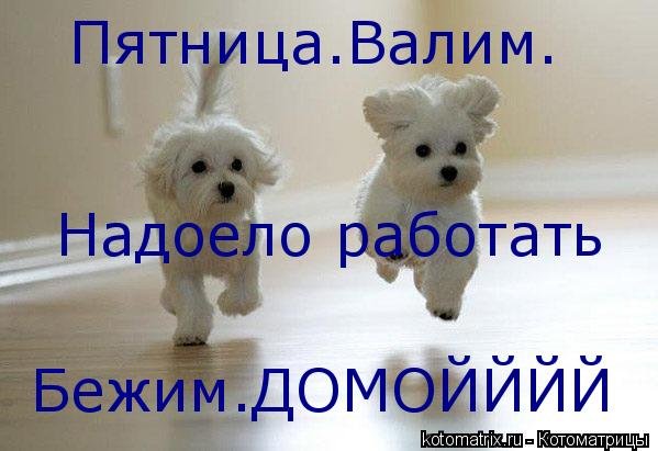Пятница домой