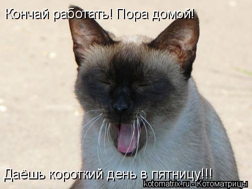 Пятница короткий день