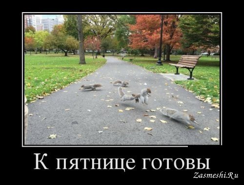 Пятница приколы