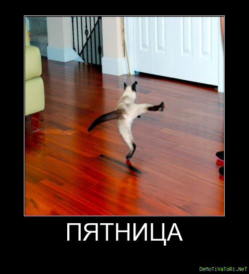 Пятница приколы
