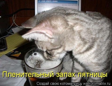 Запахло пятницей
