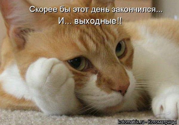 Скоро скоро выходные