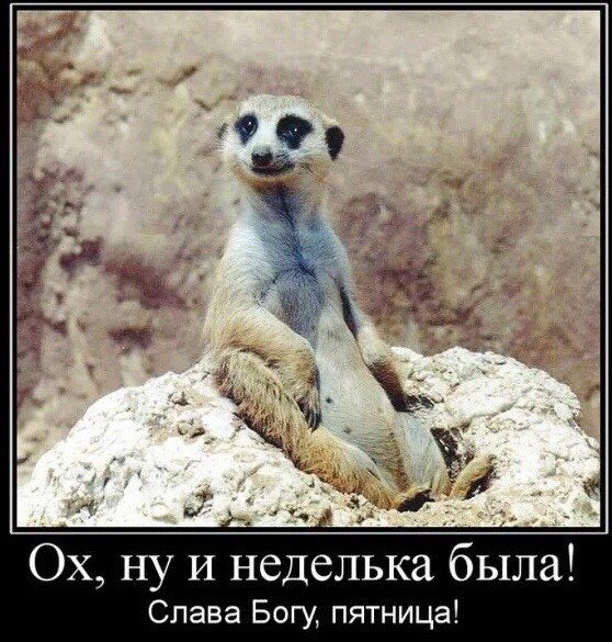 Демотиватор пятница пришла