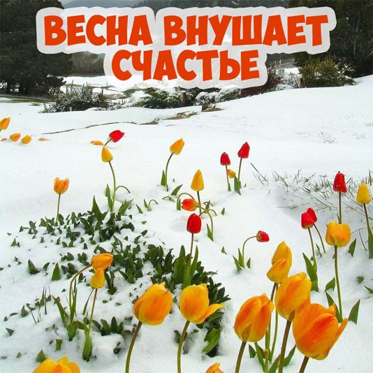 Первая пятница весны картинки
