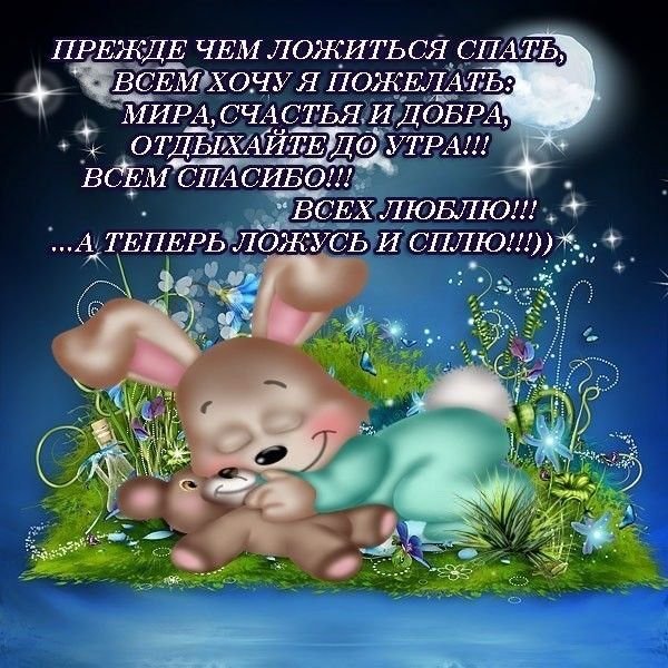 Спокойной ночи друзья