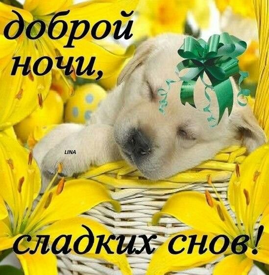 Спокойной ночи