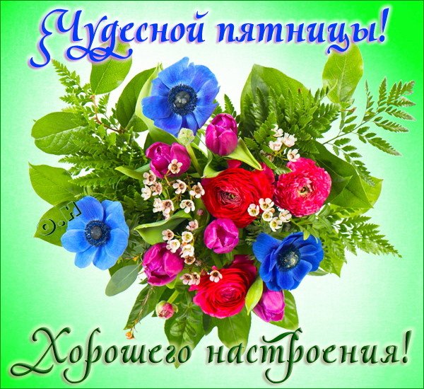 Отличной пятницы