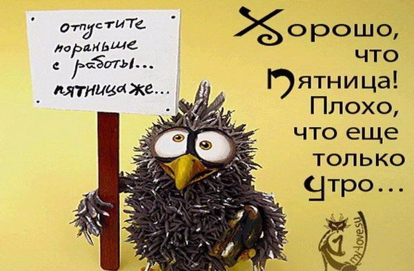 Пятница мемы смешные
