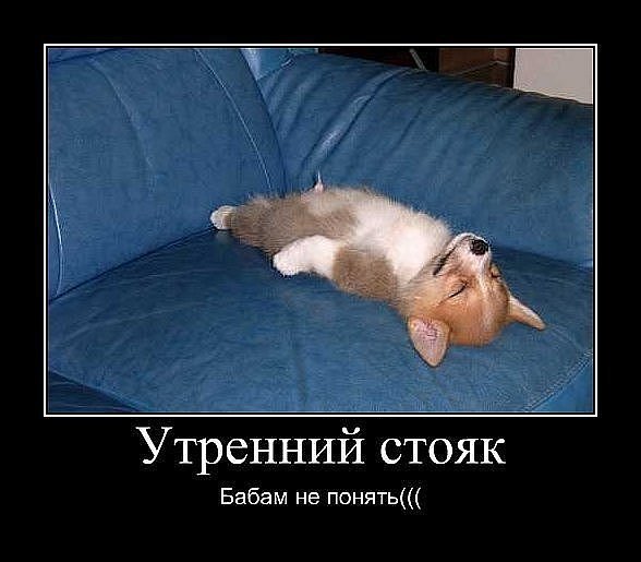 Приколы про усталость