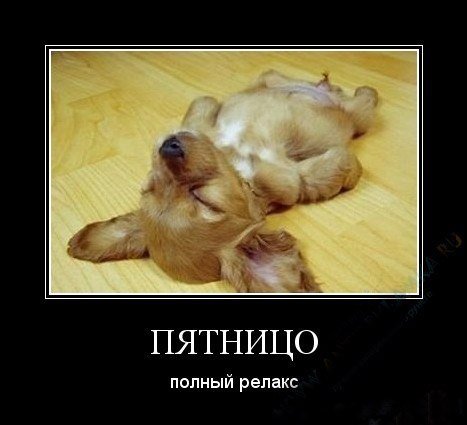 Демотиватор пятница вечер