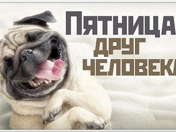 Девиз пятницы