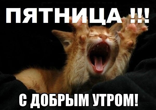 Доброе утро пятница прикол