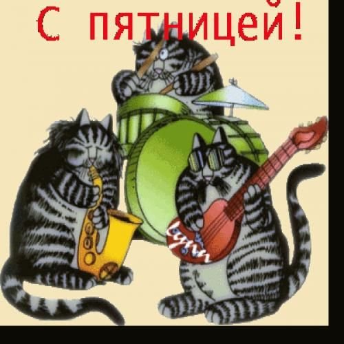 Пятница котики