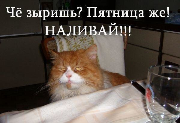 Прикол наконец пятница