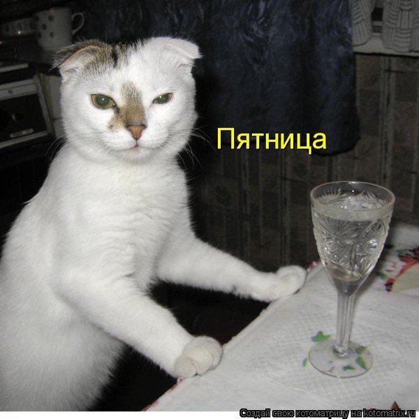 Наливай прикол