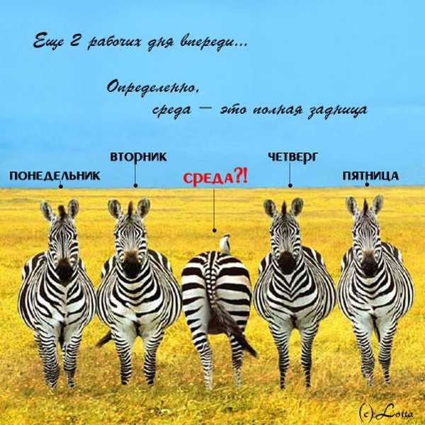 Афоризмы про среду смешные