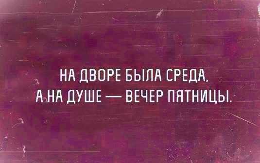 Цитаты про среду