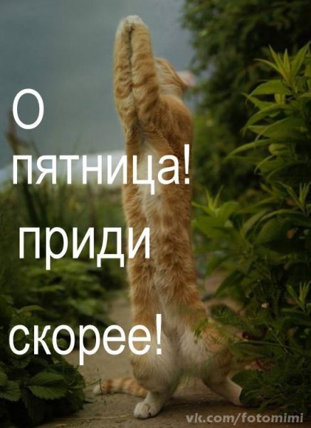 Скорее бы пятница