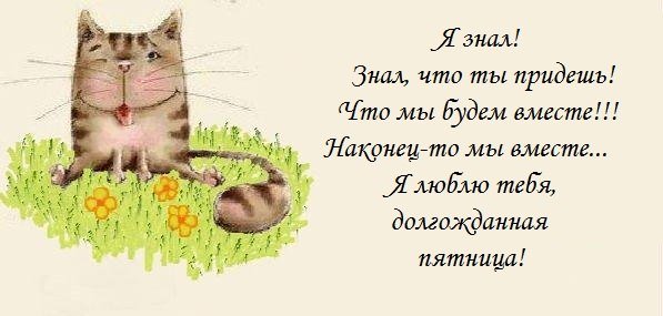 Ну вот и пятница