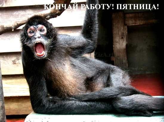 Пятница картинки прикольные