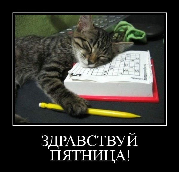 Здравствуй пятница