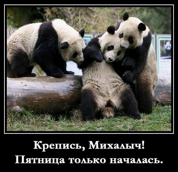 Смешные приколы про пятницу