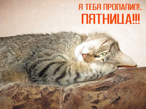 Анекдоты про пятницу в картинках