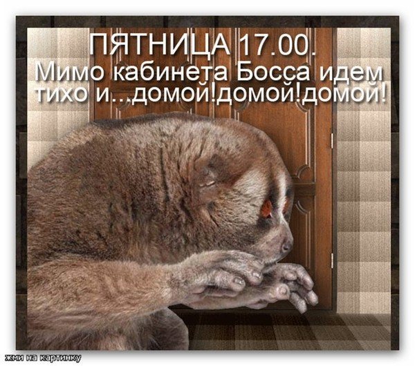 Пятница домой с работы