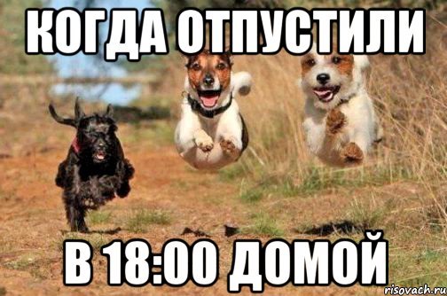 Пора домой с работы