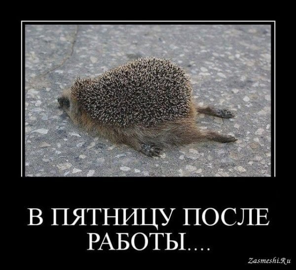 Пятница работа