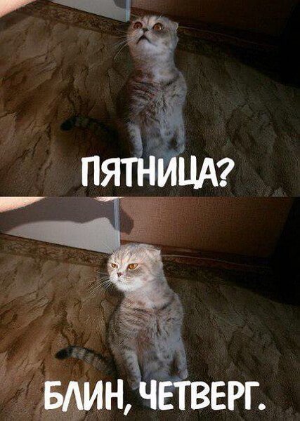 Весёлого четверга картинки