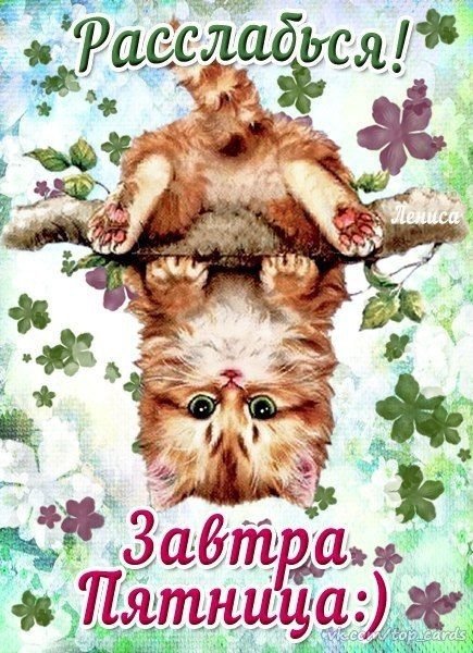 Завтра пятница
