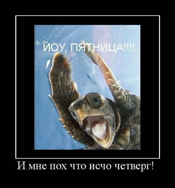 Четверг демотиватор