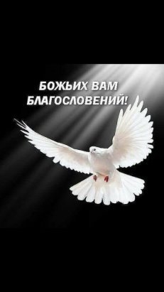 Благословение пятница