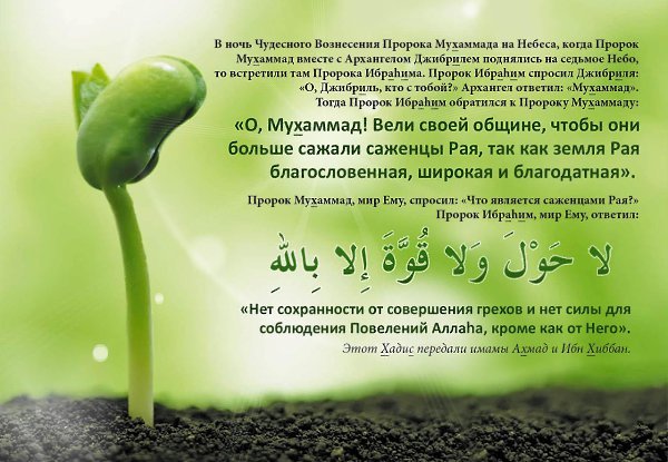 Саулят Пророку Мухаммаду
