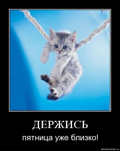 Скоро пятница держись прикол