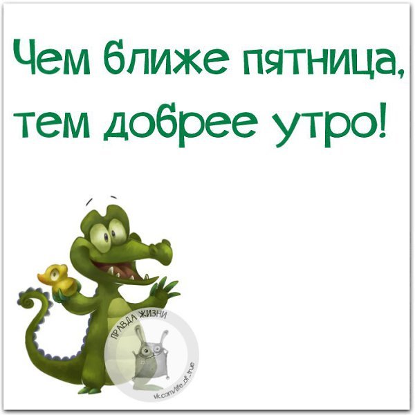 Правда жизни пятница