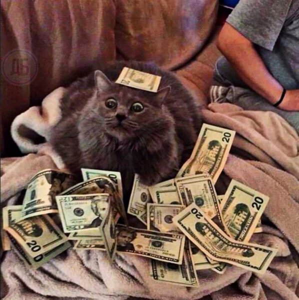 Удачной денежной недели