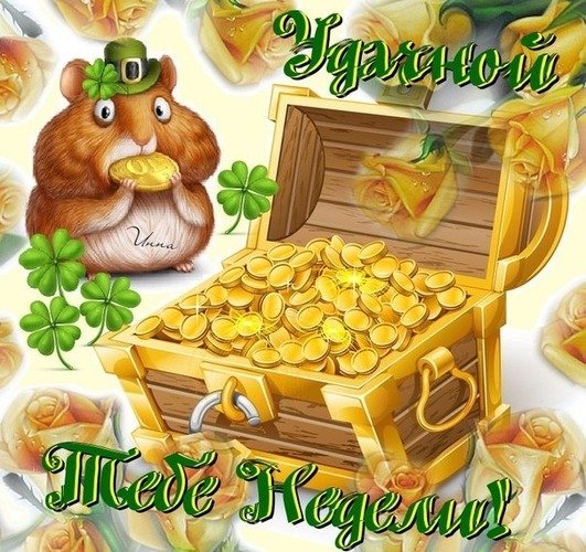 Бесплатно со средой прикольные коты