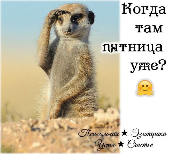 Скоро пятница