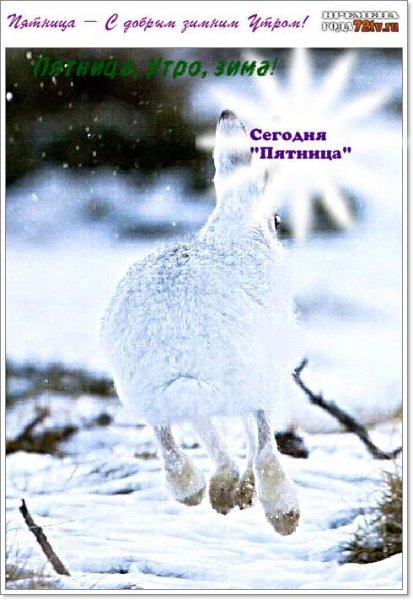 Пятница зима