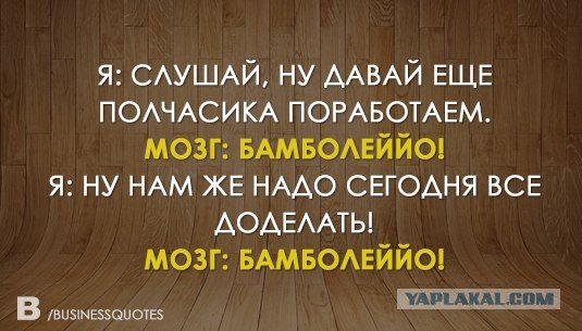 Мозг давай поработаем
