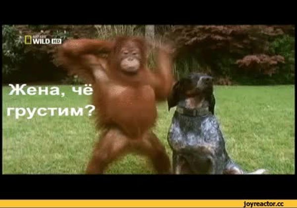 Пятница gif смешные