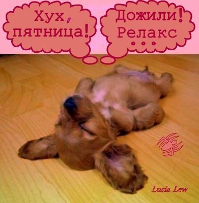 Дожили до пятницы