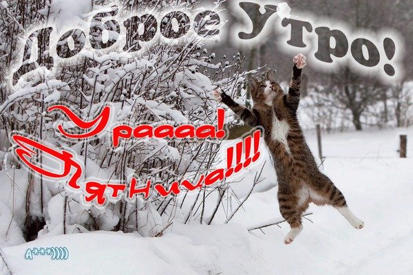 Открытки с зимней пятницей